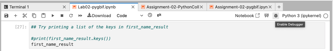 Enable the debugger in jupyter notebooks