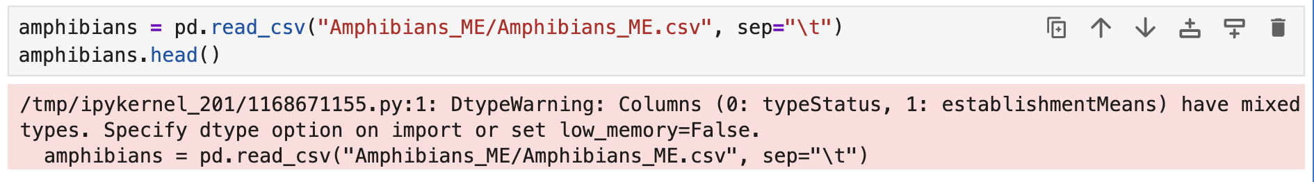 DTypeWarning on pd.read_csv()