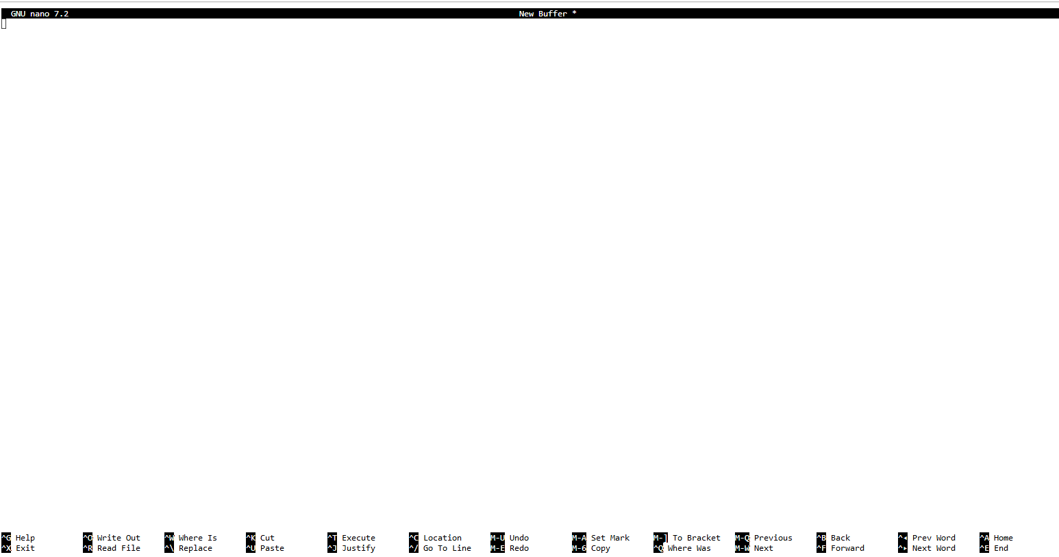 Default nano editor window