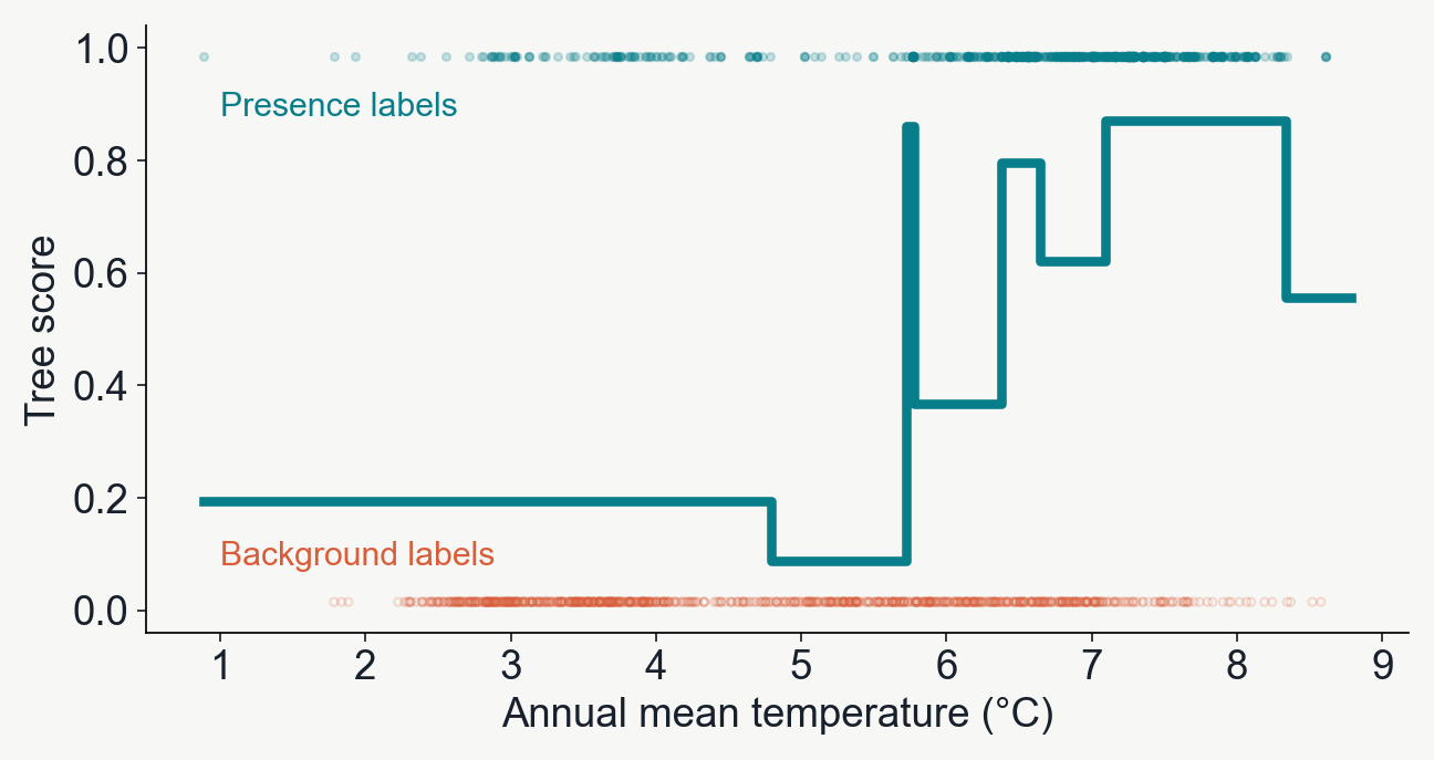 A small fitted decision tree gives a step-shaped score across annual mean temperature. Teal marks show presence labels and open coral marks show background labels.