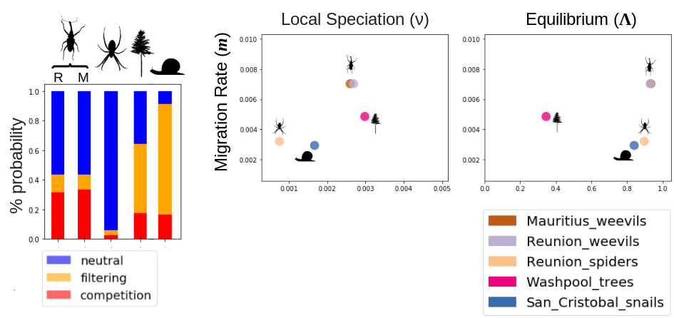 MESS Empirical Results