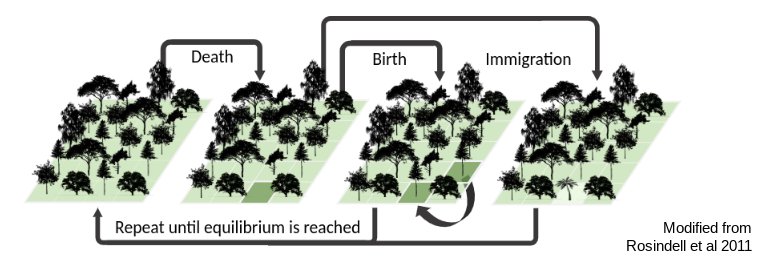 Forward-time Community Assembly Model