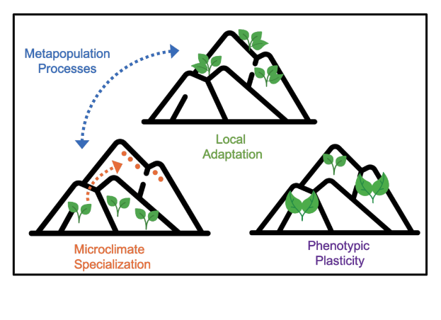 Biodiversity & Global Change